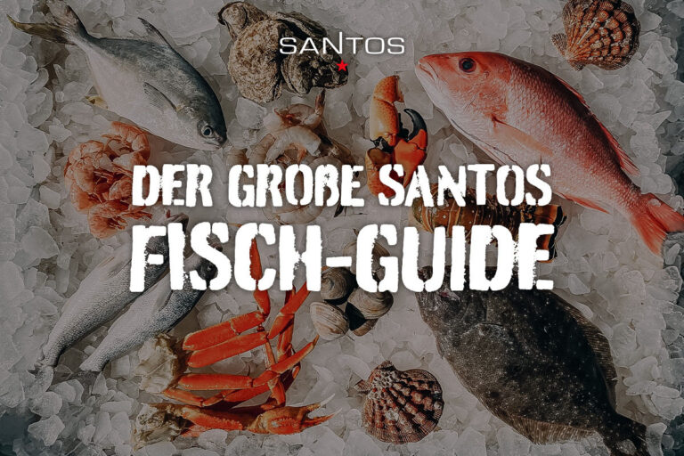 Der große SANTOS Fisch-Guide: von Lachs bis Seezunge