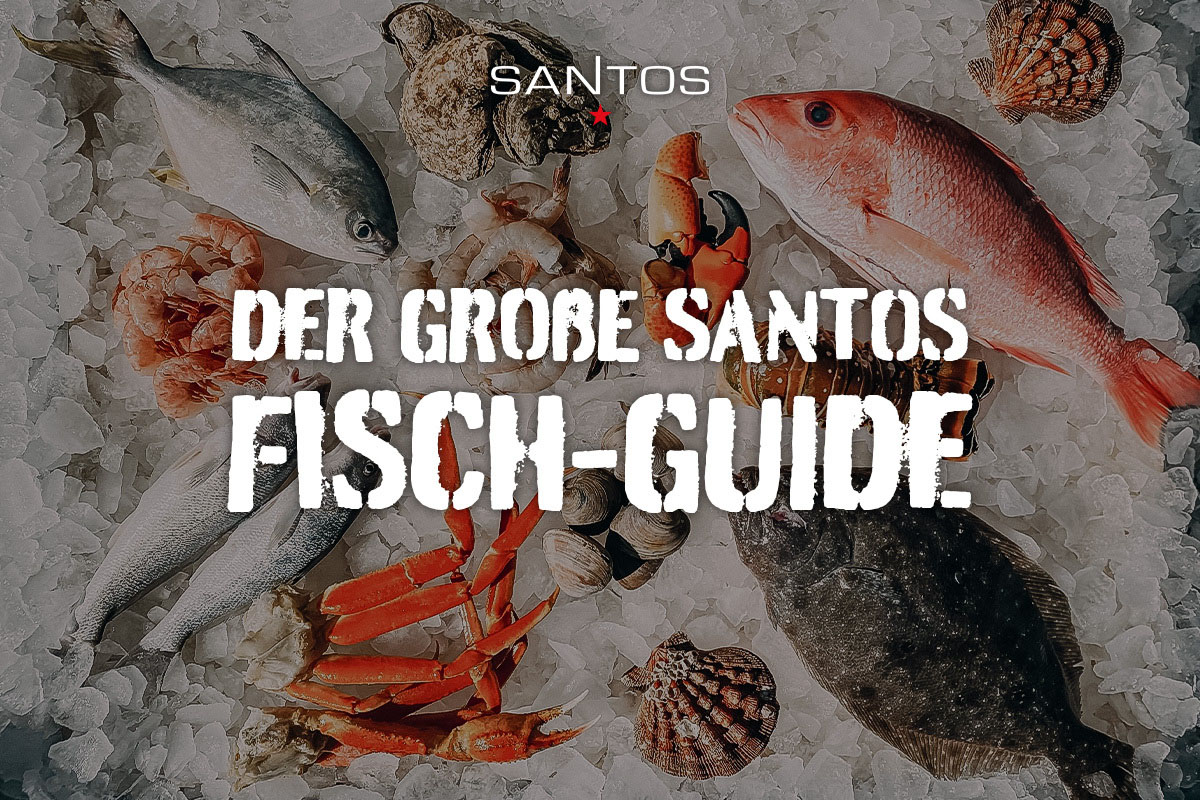 Der große SANTOS Fisch-Guide