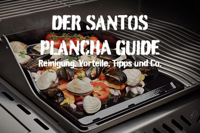 Der große SANTOS Fisch-Guide: von Lachs bis Seezunge